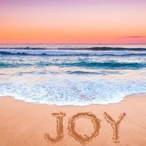 Meet your Posher, Joy